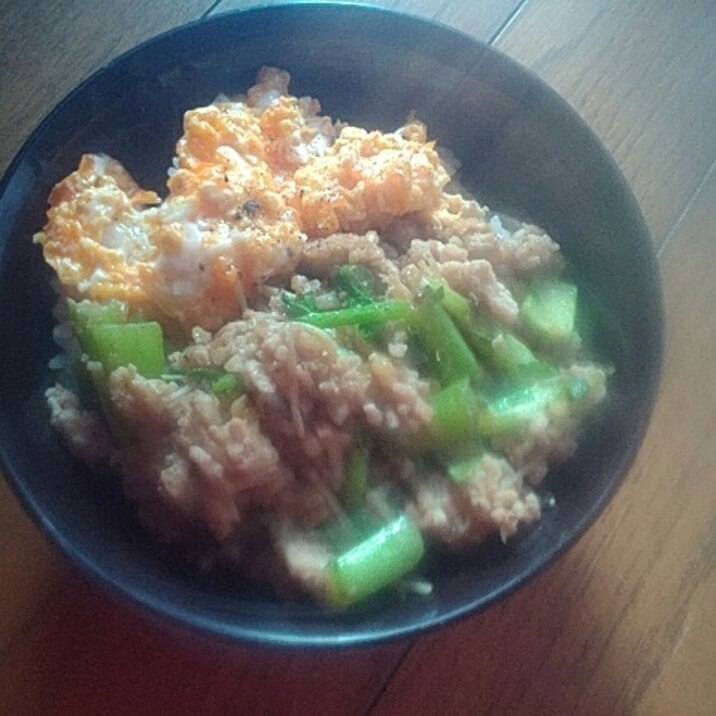 焼き肉のタレで大根葉たっぷりそぼろ丼